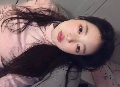 网红雪莉,网络红人的璀璨星途与人生轨迹